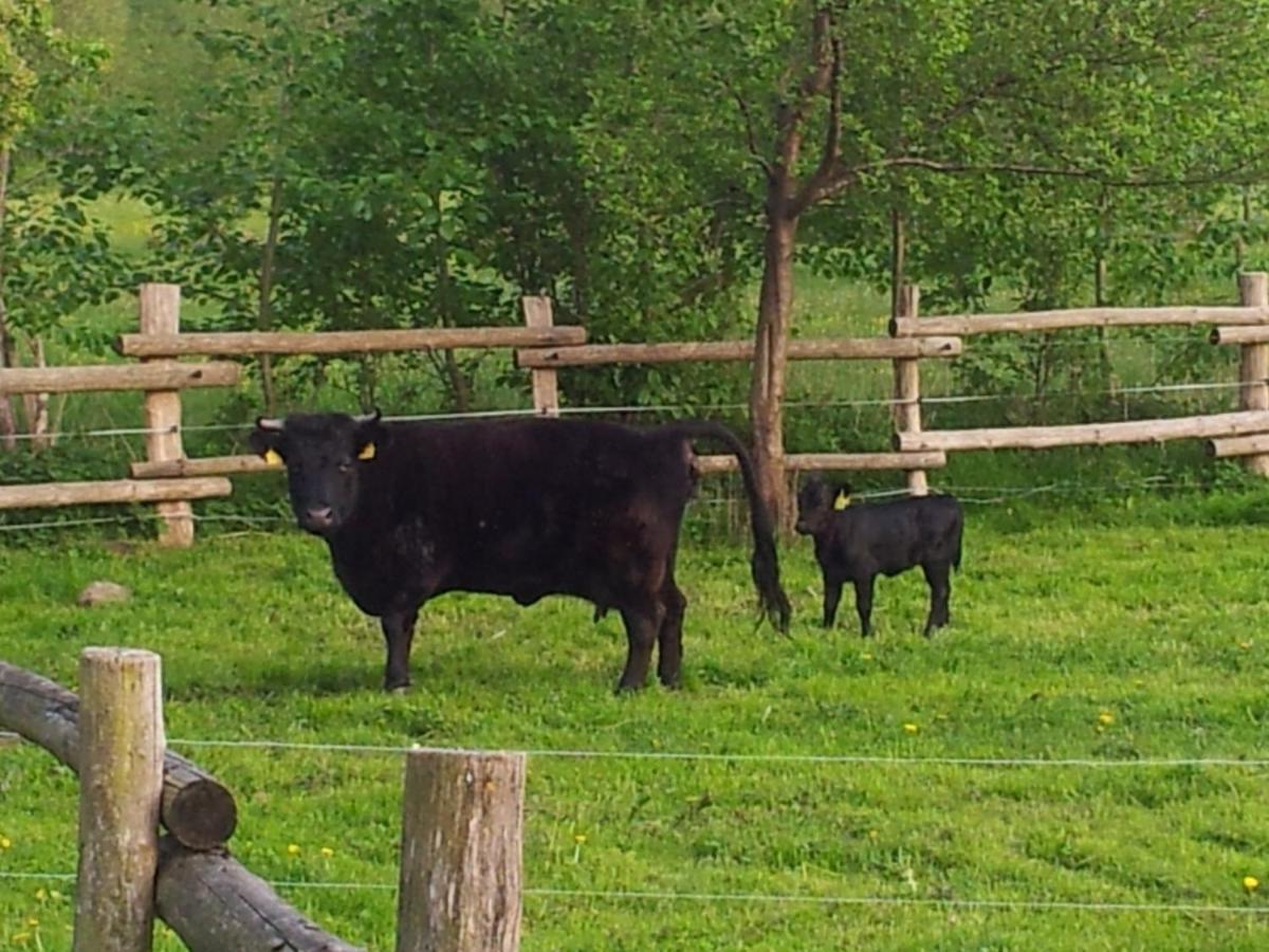 Doppelzimmer Im Spreewald Бург Екстериор снимка